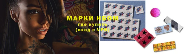 крисы Баксан