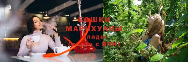 крисы Баксан